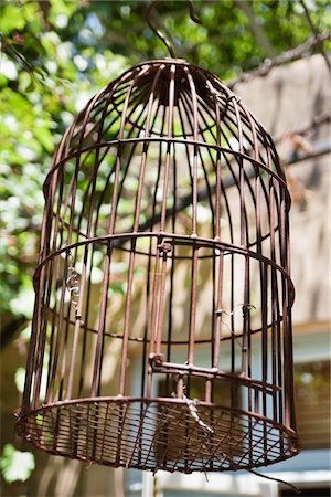 Close-up of a birdcage Stock Photo - Premium Royalty-Free, Code: 6108-05869754