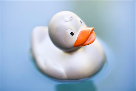 pond top view - Rubber duck floating on water Foto de stock - Sin royalties Premium, Código: 6108-05869779