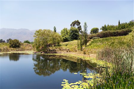 south africa scene tree - Reflet des arbres dans l'eau Photographie de stock - Premium Libres de Droits, Code: 6108-05869780