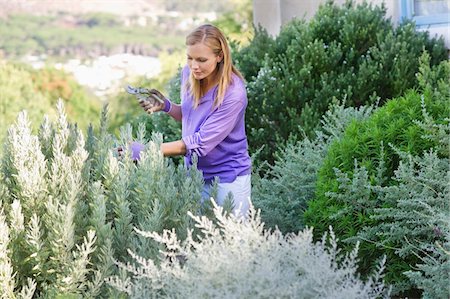 simsearch:6108-05872602,k - Young woman looking at plants with cutter in hand Stock Photo - Premium Royalty-Free, Code: 6108-05870498