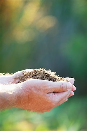 earth - Close-up of a man's hand holding soil Stock Photo - Premium Royalty-Free, Code: 6108-05870545