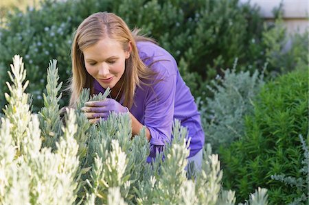 smelling - Young woman smelling flowers in garden Stock Photo - Premium Royalty-Free, Code: 6108-05870553