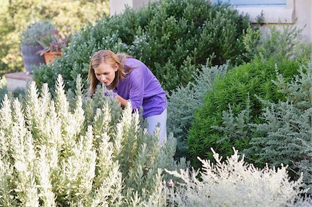 simsearch:6108-05872602,k - Young woman smelling flowers in garden Stock Photo - Premium Royalty-Free, Code: 6108-05870520