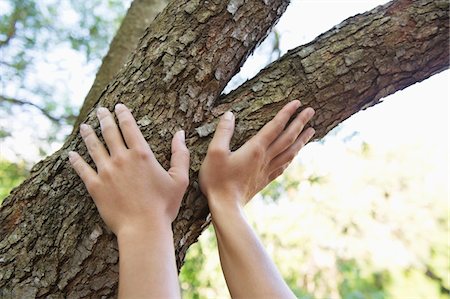 Gros plan d'une main humaine touchant la branche d'arbre Photographie de stock - Premium Libres de Droits, Code: 6108-05870531