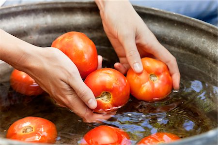 Close-up of a woman's hand washing tomatoes Stock Photo - Premium Royalty-Free, Code: 6108-05872585