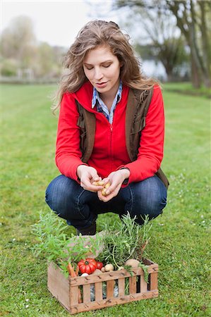 farmhand (female) - Woman putting vegetables in a crate Stock Photo - Premium Royalty-Free, Code: 6108-06166673