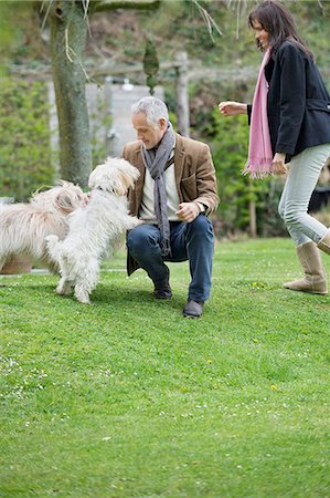 person and dog and play and happy - Couple playing with their pets in a garden Stock Photo - Premium Royalty-Free, Code: 6108-06167171