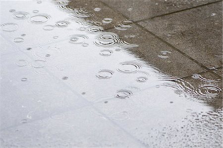Wet street during rain Foto de stock - Sin royalties Premium, Código: 6108-06168389
