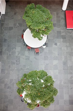 High angle view of bonsai trees growing on tables in an office lobby Stock Photo - Premium Royalty-Free, Code: 6108-06168467