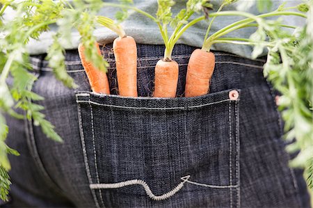 simsearch:6108-06166653,k - Carrots in the pocket of a man Foto de stock - Royalty Free Premium, Número: 6108-06168406