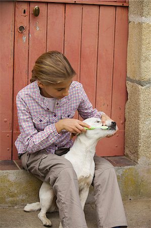 Young girl brushing her dog's teeth Stock Photo - Premium Royalty-Free, Code: 6108-08636787