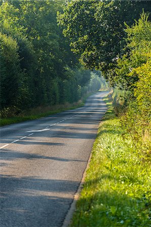 simsearch:6108-08636876,k - France, Normandy, typical little road in the countryside Foto de stock - Sin royalties Premium, Código: 6108-08636878
