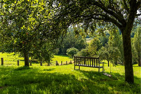 France, Normandy, view of a beautiful green garden in the countryside Foto de stock - Sin royalties Premium, Código: 6108-08636879