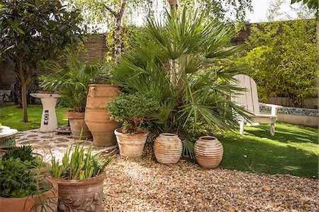 palm tree lights - Urban garden from a private property close to Paris Stock Photo - Premium Royalty-Free, Code: 6108-08637299