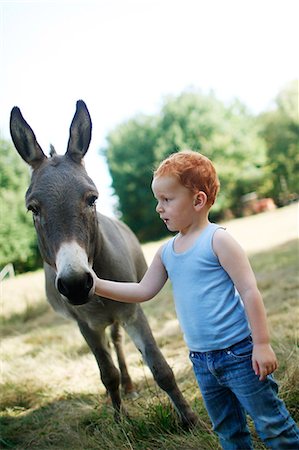 Red-haired little boy in a field looking at a donkey while stroking him Stock Photo - Premium Royalty-Free, Code: 6108-08943341