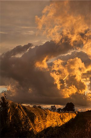 France, Center France, sunset on apple orchards surrounded by hail nets Foto de stock - Sin royalties Premium, Código: 6108-08943424