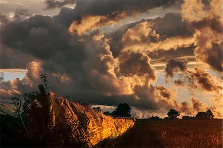 France, Center France, sunset on apple orchards surrounded by hail nets Foto de stock - Sin royalties Premium, Código: 6108-08943425