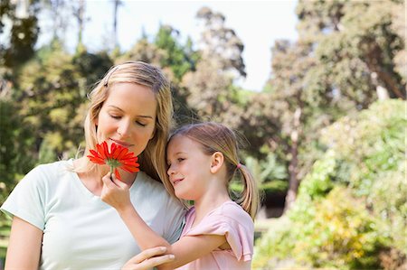 A mother looking at the pretty flower her daughter is holding Foto de stock - Sin royalties Premium, Código: 6109-06004001