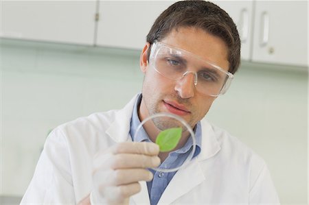 Young male scientist looking at a petri dish standing in a laboratory Stock Photo - Premium Royalty-Free, Code: 6109-07497758