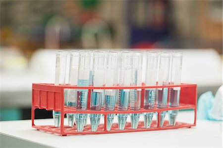 simsearch:6109-07497797,k - Test tubes in rack containing blue liquid in lab at college Fotografie stock - Premium Royalty-Free, Codice: 6109-07497809