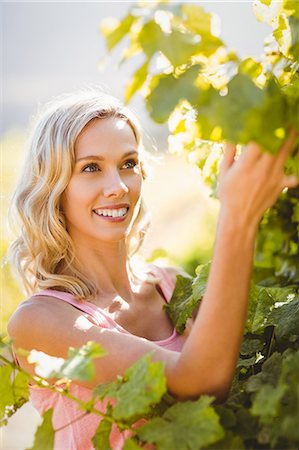 simsearch:6109-08204003,k - Smiling woman touching grapevine Stockbilder - Premium RF Lizenzfrei, Bildnummer: 6109-08203996