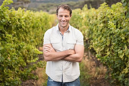 farmers harvesting grapes - Happy vintner with crossed arms Stock Photo - Premium Royalty-Free, Code: 6109-08204232