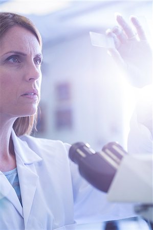 serious - Scientist looking at test slide in the lab Stock Photo - Premium Royalty-Free, Code: 6109-08389825