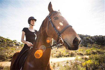 recreational pursuit - Young happy woman with her horse Foto de stock - Sin royalties Premium, Código: 6109-08398480