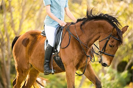 estribo - Young woman riding her horse Foto de stock - Sin royalties Premium, Código: 6109-08398495