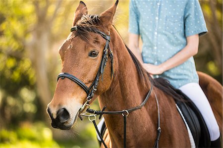 simsearch:6109-08398485,k - Young woman riding her horse Foto de stock - Sin royalties Premium, Código: 6109-08398496