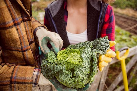 simsearch:6109-08398975,k - Close up of a couple showing cabbage Stock Photo - Premium Royalty-Free, Code: 6109-08398973