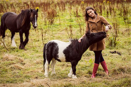 equus africanus asinus - Smiling woman feeding a donkey Foto de stock - Sin royalties Premium, Código: 6109-08399087