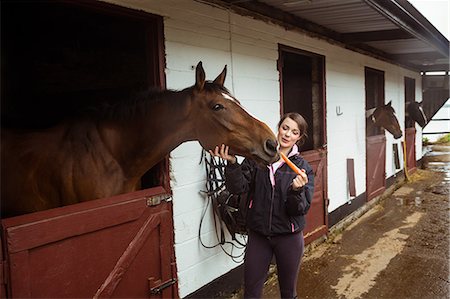 simsearch:6109-08399497,k - Pretty woman giving carrot to horse Foto de stock - Sin royalties Premium, Código: 6109-08399497