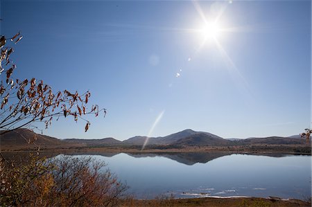 paz - Beautiful peaceful nature scene in South Africa Foto de stock - Sin royalties Premium, Código: 6109-08488701