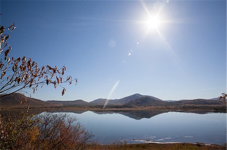 frieden - Beautiful peaceful nature scene in South Africa Foto de stock - Sin royalties Premium, Código: 6109-08488701