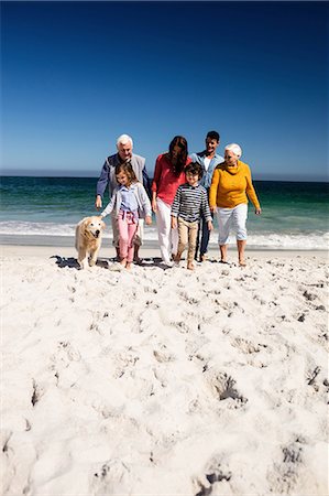 family dog grandparents parents child - Cute family walking with their dog on the beach Stock Photo - Premium Royalty-Free, Code: 6109-08434907