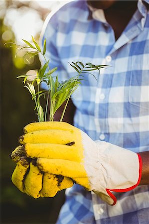 Handsome man doing some gardening outside Stock Photo - Premium Royalty-Free, Code: 6109-08435446
