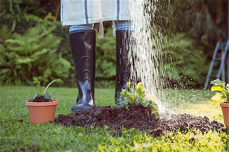 Woman watering plants in the garden Stock Photo - Premium Royalty-Free, Code: 6109-08435462