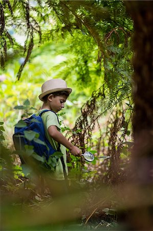 simsearch:6109-08581905,k - Boy examining the plants with magnifying glass Foto de stock - Sin royalties Premium, Código: 6109-08581906