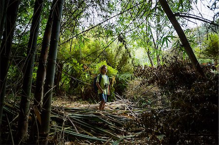 simsearch:6109-08581912,k - Boy standing in forest Foto de stock - Sin royalties Premium, Código: 6109-08581920