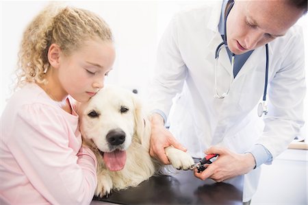 doctor check girl image - Dog getting claws trimmed by veterinarian Stock Photo - Premium Royalty-Free, Code: 6109-08536552
