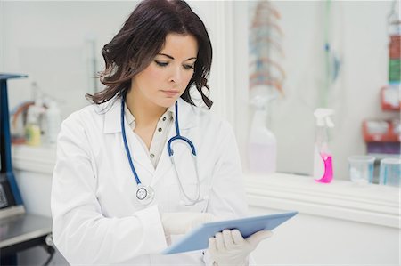 Female veterinarian using tablet Foto de stock - Royalty Free Premium, Número: 6109-08536565