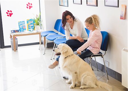 dog sitting on office chairs - Mother and daughter sitting with dog Stock Photo - Premium Royalty-Free, Code: 6109-08536534