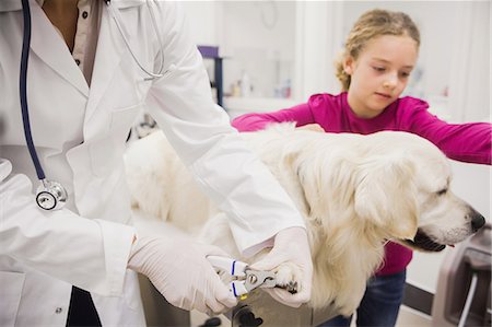 simsearch:6109-08537805,k - Dog getting nail trim by veteranian Stock Photo - Premium Royalty-Free, Code: 6109-08536640