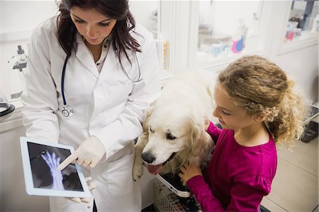 simsearch:6109-08537863,k - Veterinarian discussing x-ray of a dog Fotografie stock - Premium Royalty-Free, Codice: 6109-08536652