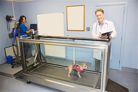 simsearch:400-08372788,k - Vets looking at a dog on hydrotherapy treadmill Stock Photo - Premium Royalty-Free, Code: 6109-08536608