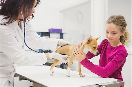 simsearch:6109-08537863,k - Girl petting her pet dog while vet examining Fotografie stock - Premium Royalty-Free, Codice: 6109-08536632