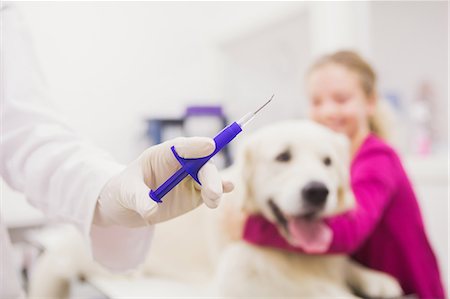 simsearch:6109-08537805,k - Veterinarian giving injection to dog Stock Photo - Premium Royalty-Free, Code: 6109-08536639