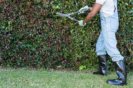 Man cutting hedge with garden scissors Photographie de stock - Premium Libres de Droits, Code: 6109-08536996