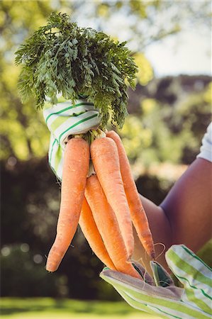 Man holding bunch of carrots Stock Photo - Premium Royalty-Free, Code: 6109-08537003
